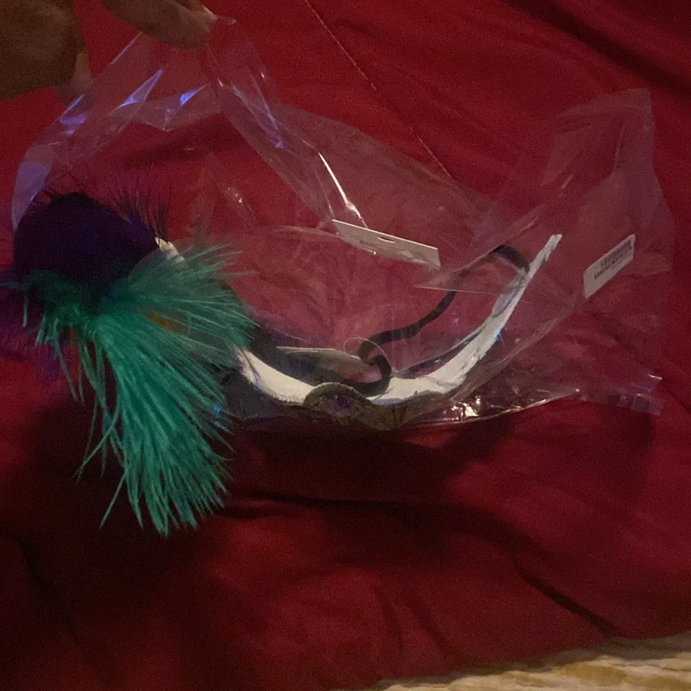 Mardi Gras Mask! Traditional green, gold, and purple mask!